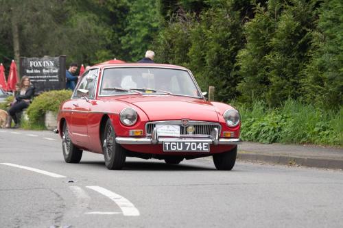 OMD19587