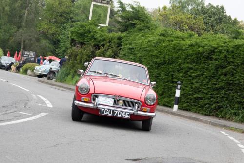 OMD19595
