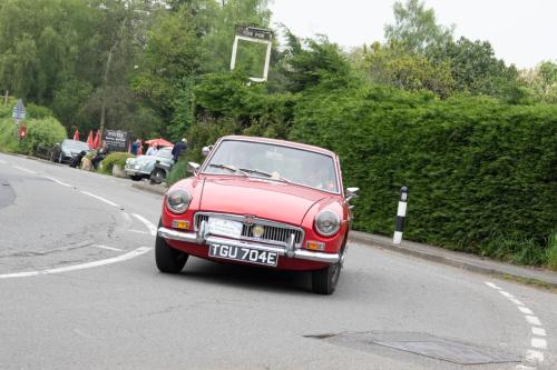 OMD19597