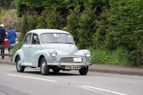 OMD19608